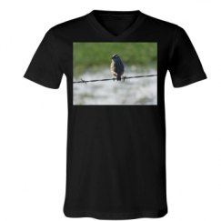 Unisex V-Neck Jersey Tee