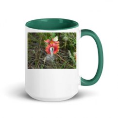 15oz Ceramic Mug with Color Inside