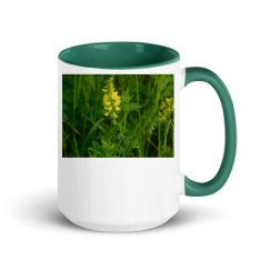 15oz Ceramic Mug with Color Inside