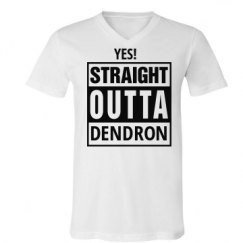 Unisex V-Neck Jersey Tee