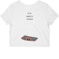 Ladies Slim Fit Crop Top Tee