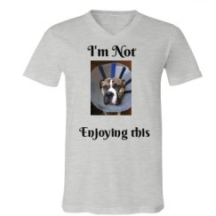 Unisex V-Neck Jersey Tee