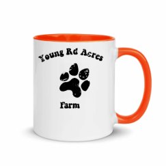 11oz Ceramic Mug with Color Inside