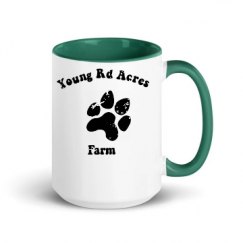 15oz Ceramic Mug with Color Inside